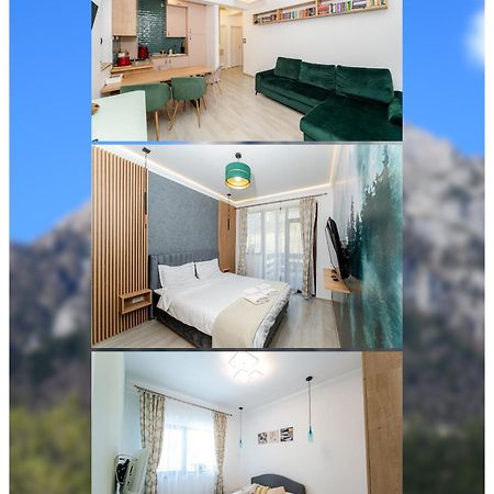 Ferienwohnung Cross Caraiman View 1 Buşteni Exterior foto